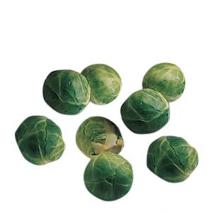 Burpee Heirloom Seed 1 Burpee Catskill (Heirloom) Brussels Sprouts Seeds 100 seeds