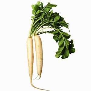 Isla's Garden Seeds Organic Seed 1 Japanese Minowase (Daikon) Radish Seeds, 100+ Premium Heirloom Seeds, ON Sale, (Isla's Garden Seeds), Non GMO Organic, 99.7% Purity, Survival Seeds, Highest Quality!