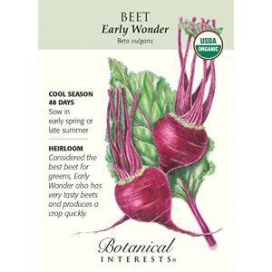 Hirts: Seed; Vegetable Organic Seed 1 Early Wonder Beet Seeds - 2 grams - Organic by Hirts: Seed; Vegetable