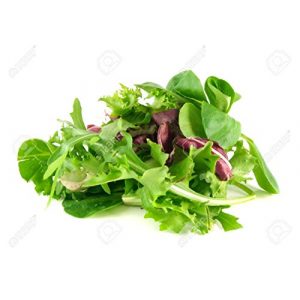 Marde Ross & Company Organic Seed 1 Organic Lettuce Seed Mix of 9 Greens - Mesclun Mix - Fall Crop and Cool Season Planting